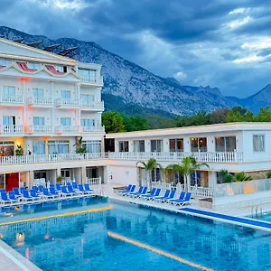 book here